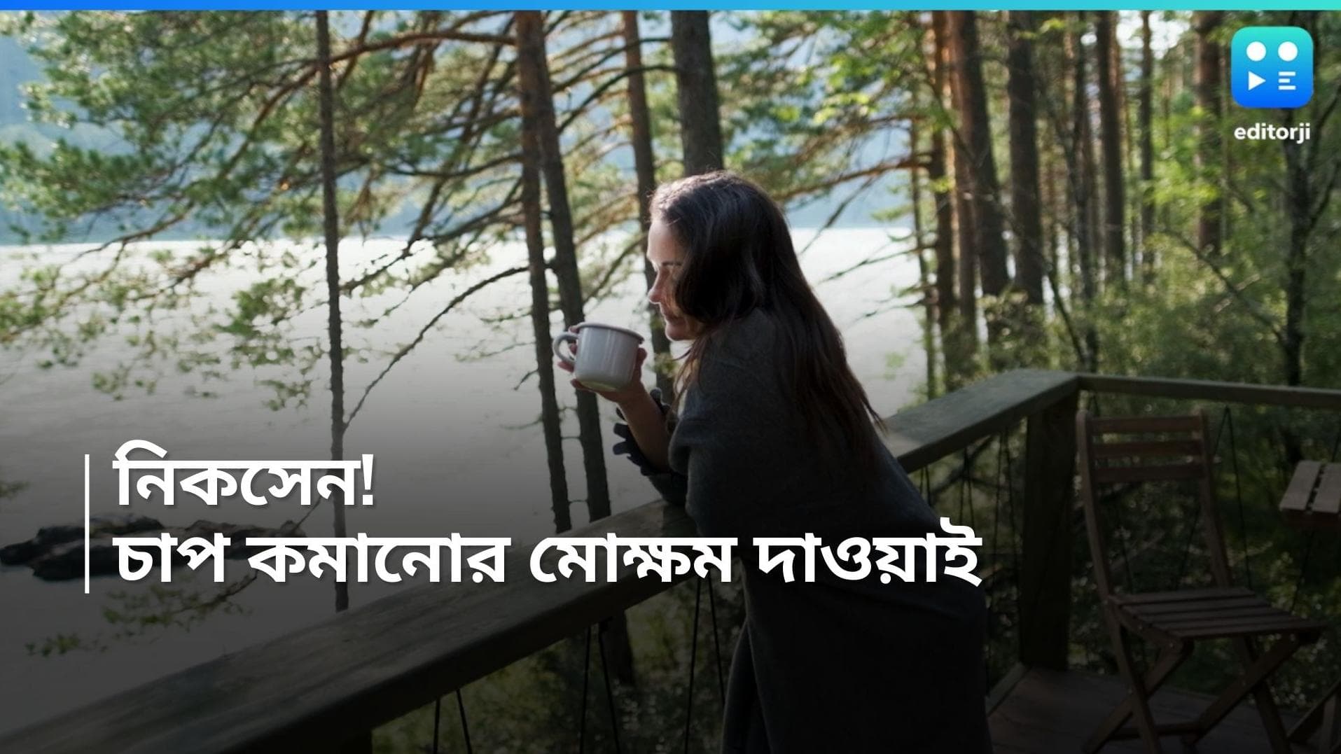 Niksen Lifestyle: কাজের চাপে দমবন্ধ লাগছে? কিচ্ছু করতে হবে না, ম্যাজিকের মতো কাজ করবে 'নিকসেন'! 