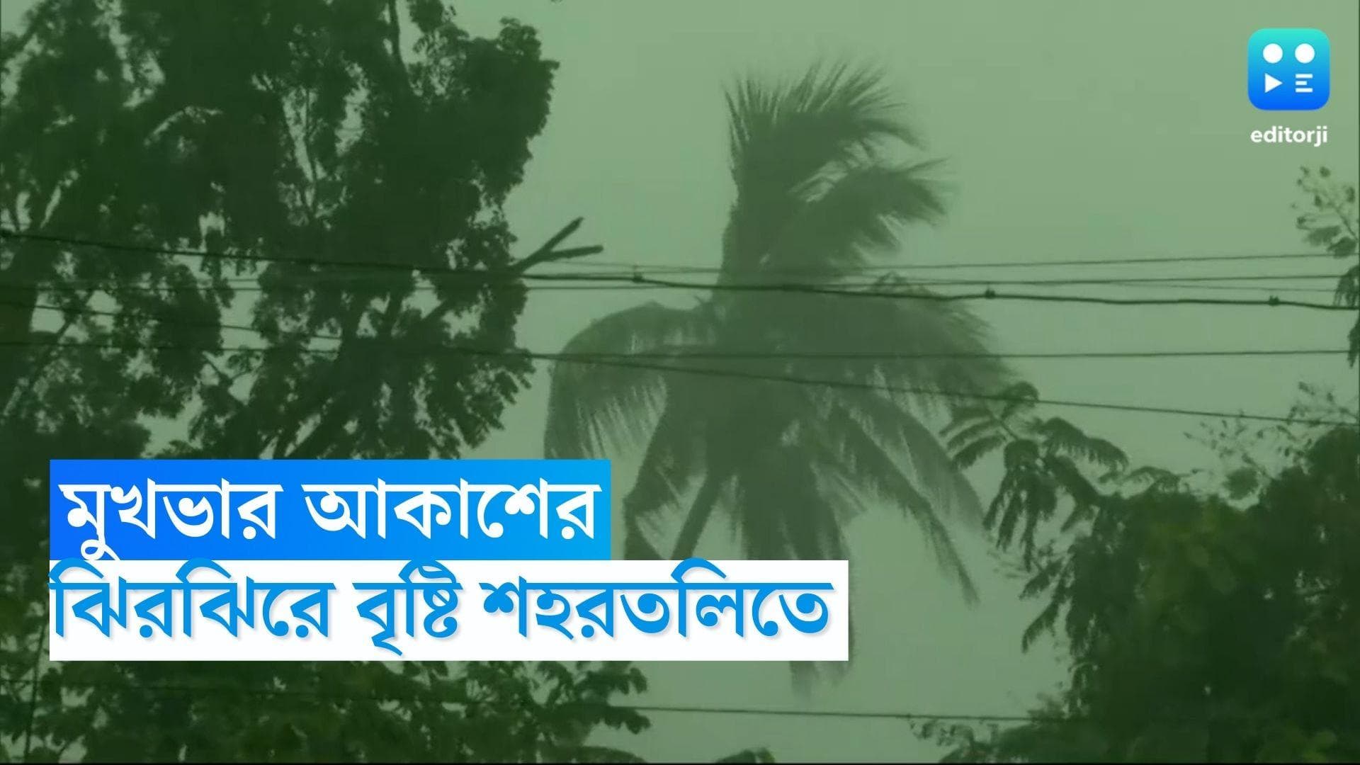 West Bengal Weather Update: মুখভার আকাশের, ঝিরঝিরে বৃষ্টি শহরতলিতে, কলকাতায় কেমন থাকবে আবহাওয়া? 