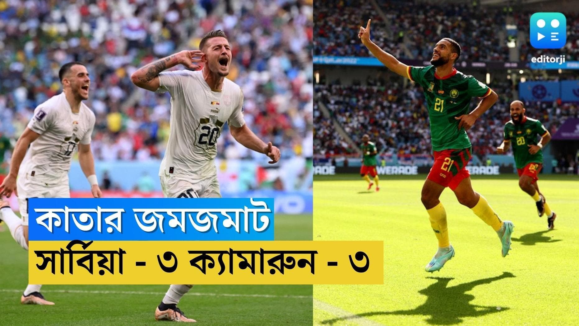 Qatar World Cup Serbia Vs Cameroon : কাতারে ৬ গোলের ম্য়াচ, এক পয়েন্ট করে পেল ক্যামারুন-সার্বিয়া