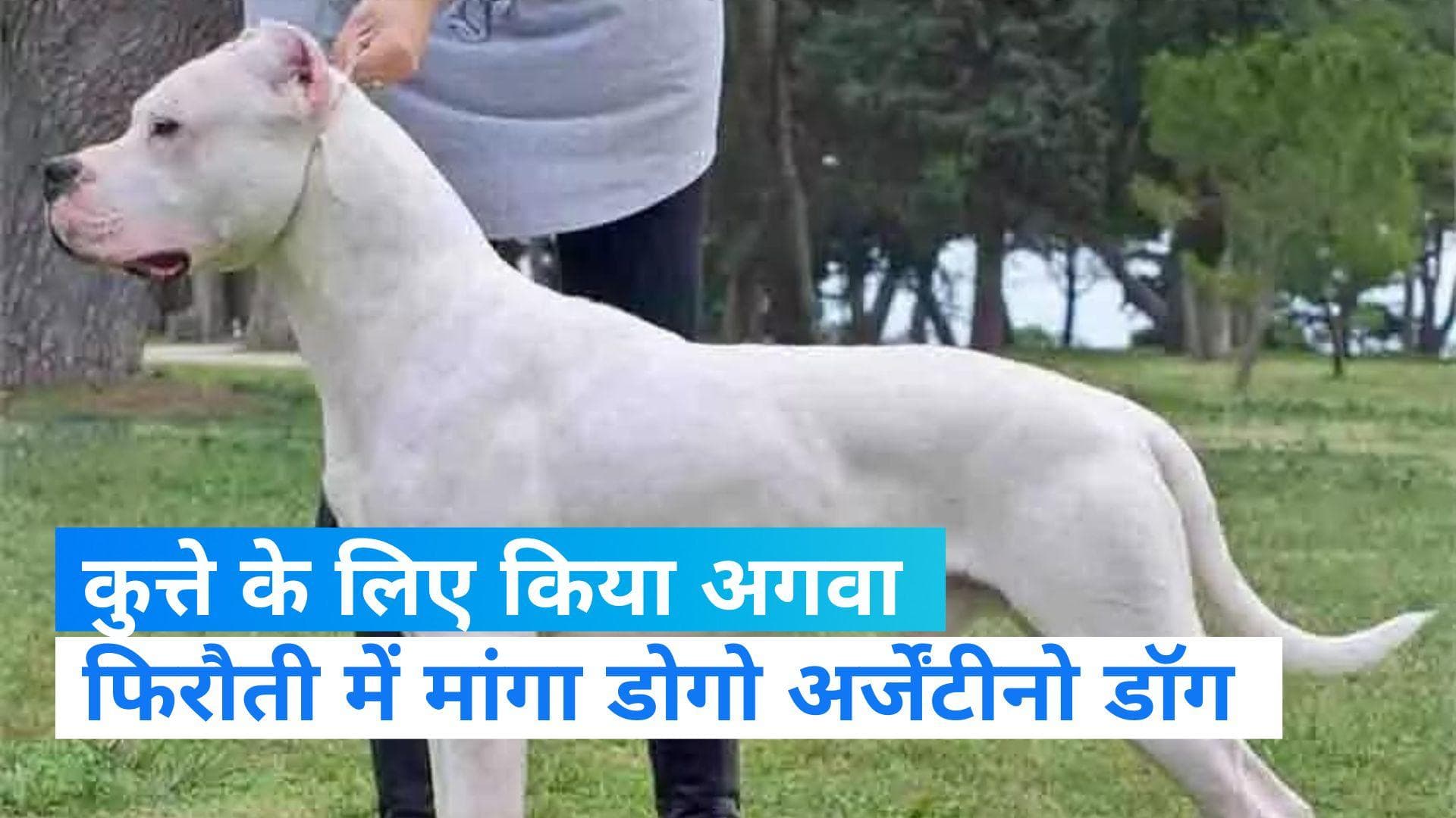 UP News: ग्रेटर नोएडा से आया अजीबोगरीब मामला, कुत्ता देने से किया इनकार तो कर लिया किडनैप