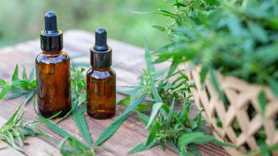 CBD क्या है? जानिए स्वास्थ्य से जुड़े इसके फायदे 