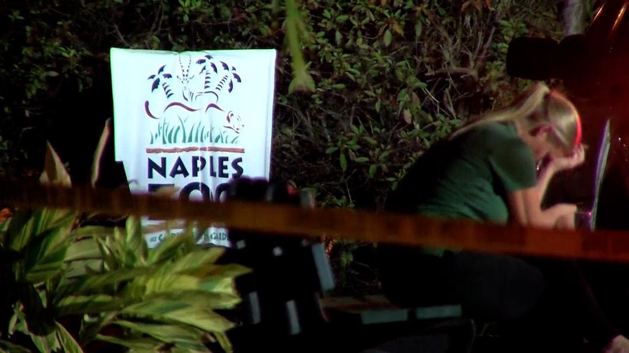 On Camera: Zoo tiger shot while biting Florida man's arm as he screams