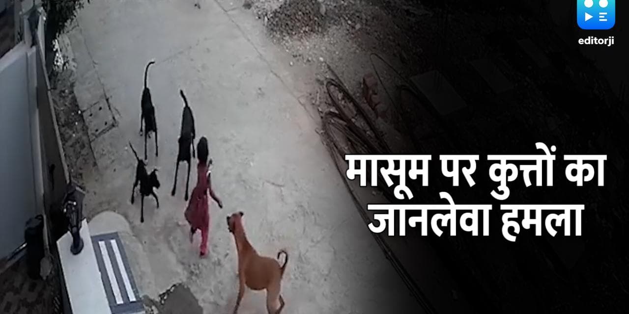Madhya Pradesh: मासूम बच्ची पर आवारा कुत्तों ने किया जानलेवा हमला, बाल बाल बची जान