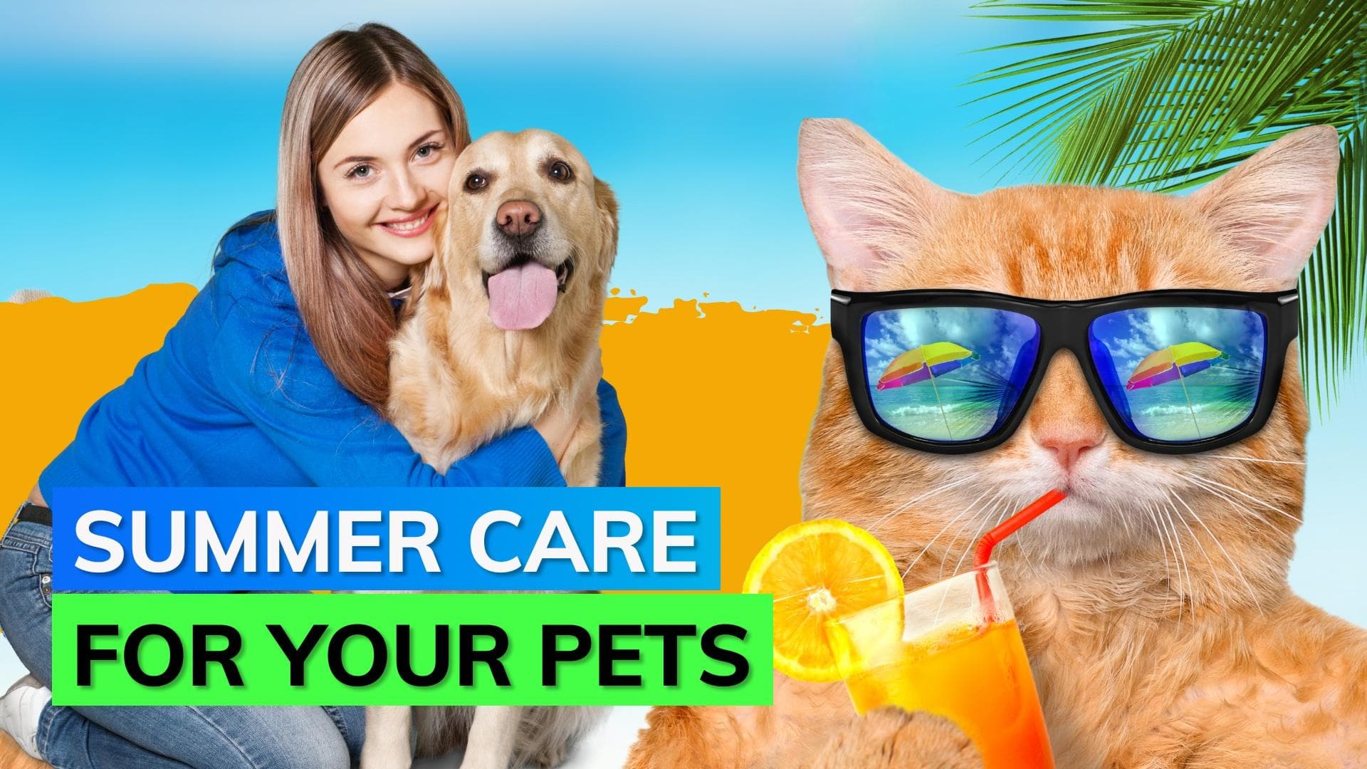 Take special care of your furry friends during summers; follow these important tips