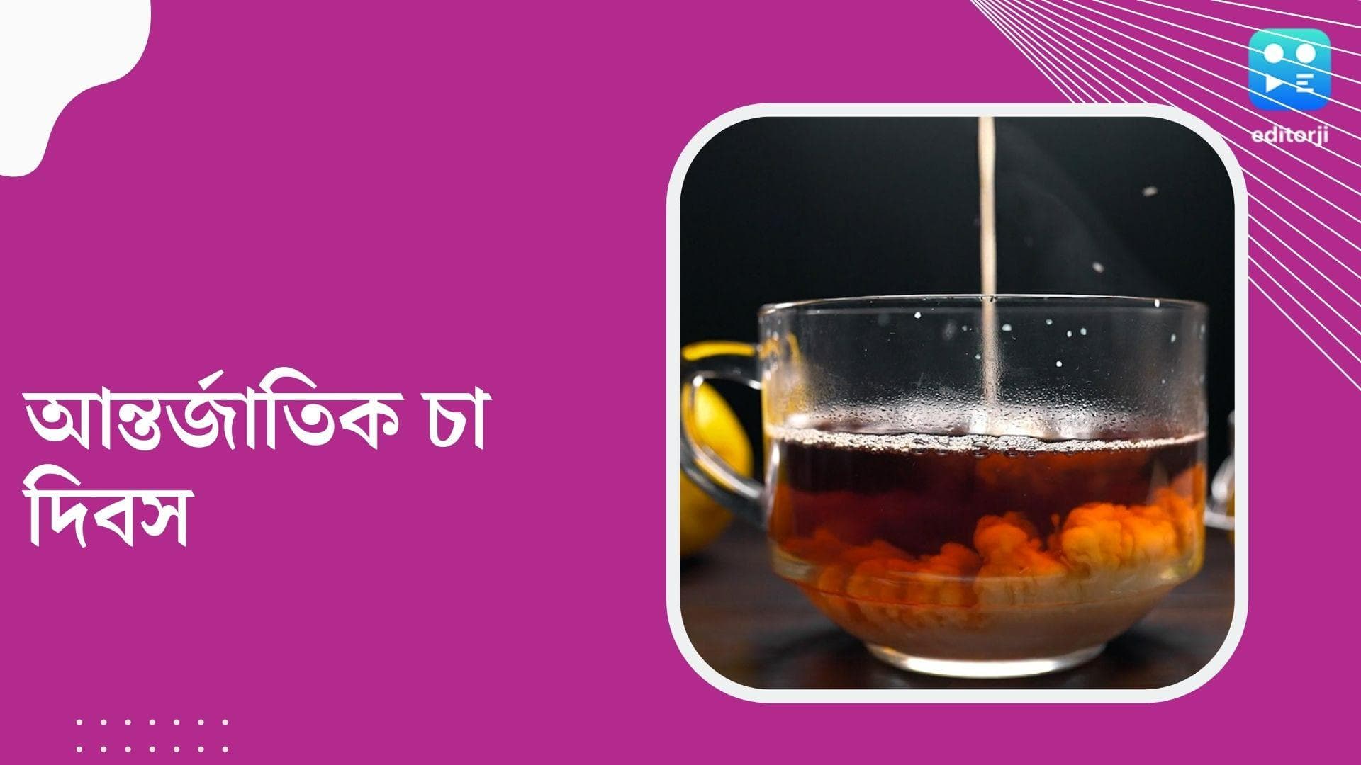 International Tea Day 2022 : আজ আন্তর্জাতিক চা দিবস, বিশ্বজুড়ে চা দিবস উদযাপনের তাৎপর্য জানেন ? 