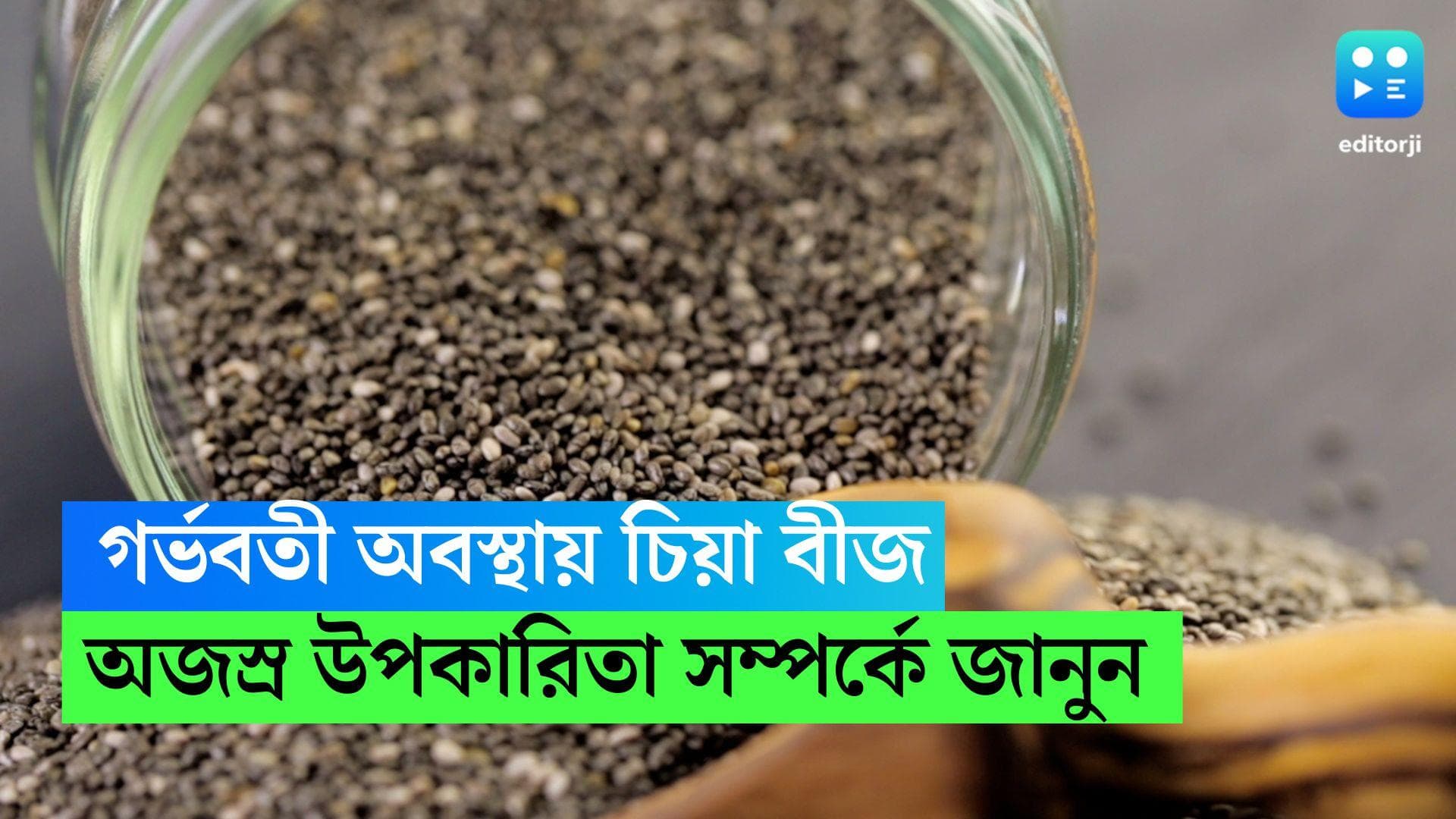 Chia seed during pregnancy: গর্ভবতী অবস্থায় চিয়া বীজ খেলে পাওয়া যাবে অজস্র উপকারিতা
