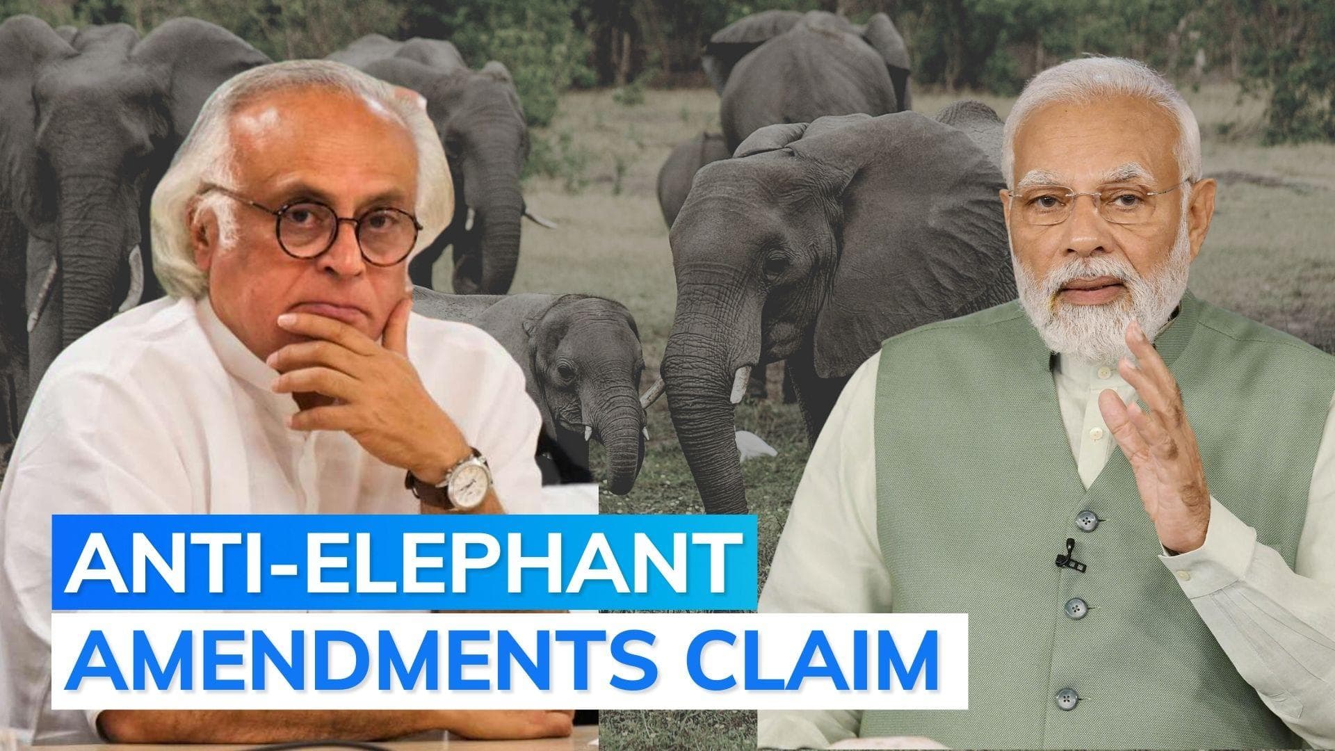 Oscars: Congress attacks Modi govt, cites 'The Elephant Whisperers' win to slam Wild Life Act amendments