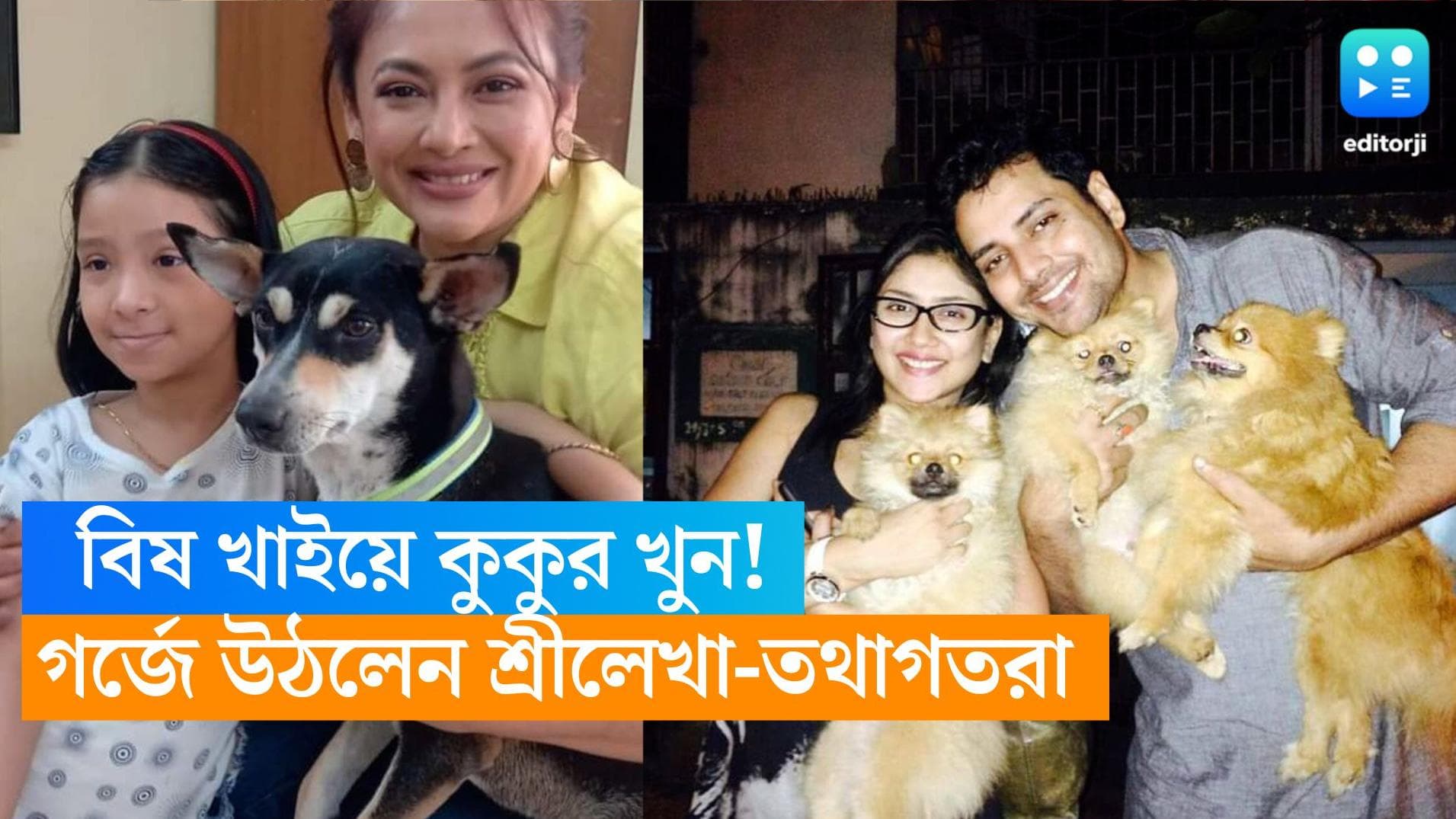 Killing of Dogs: বিষ খাইয়ে কুকুরকে হত্যা! গর্জে উঠলেন শ্রীলেখা মিত্র, প্রতিবাদে শামিল তথাগত-দেবলীনারা