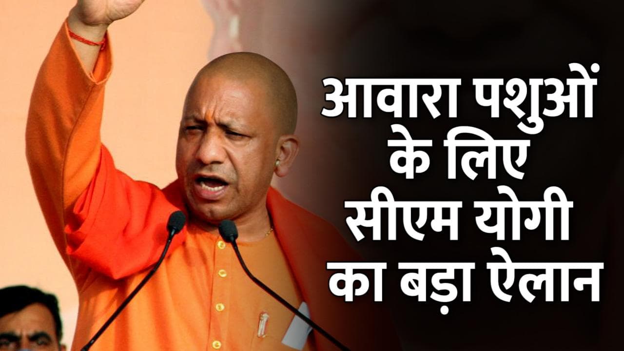 UP Election 22: BJP को अब याद आए अवारा पशु, सीएम योगी ने ₹1000 भत्ते का किया वादा