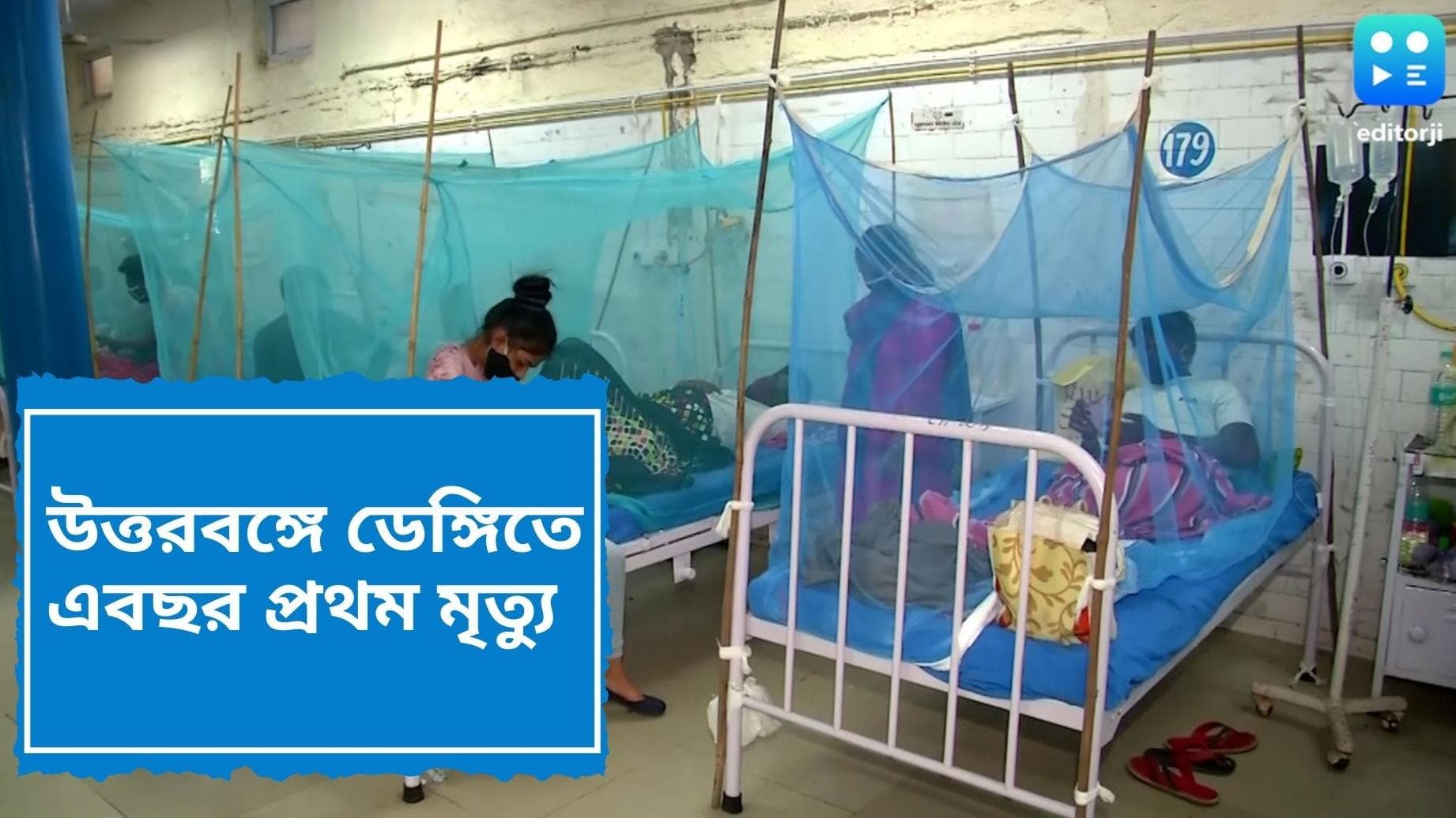 Dengue death: ডেঙ্গিতে চলতি বছর প্রথম মৃত্যু উত্তরবঙ্গে, বাড়ছে প্রকোপ