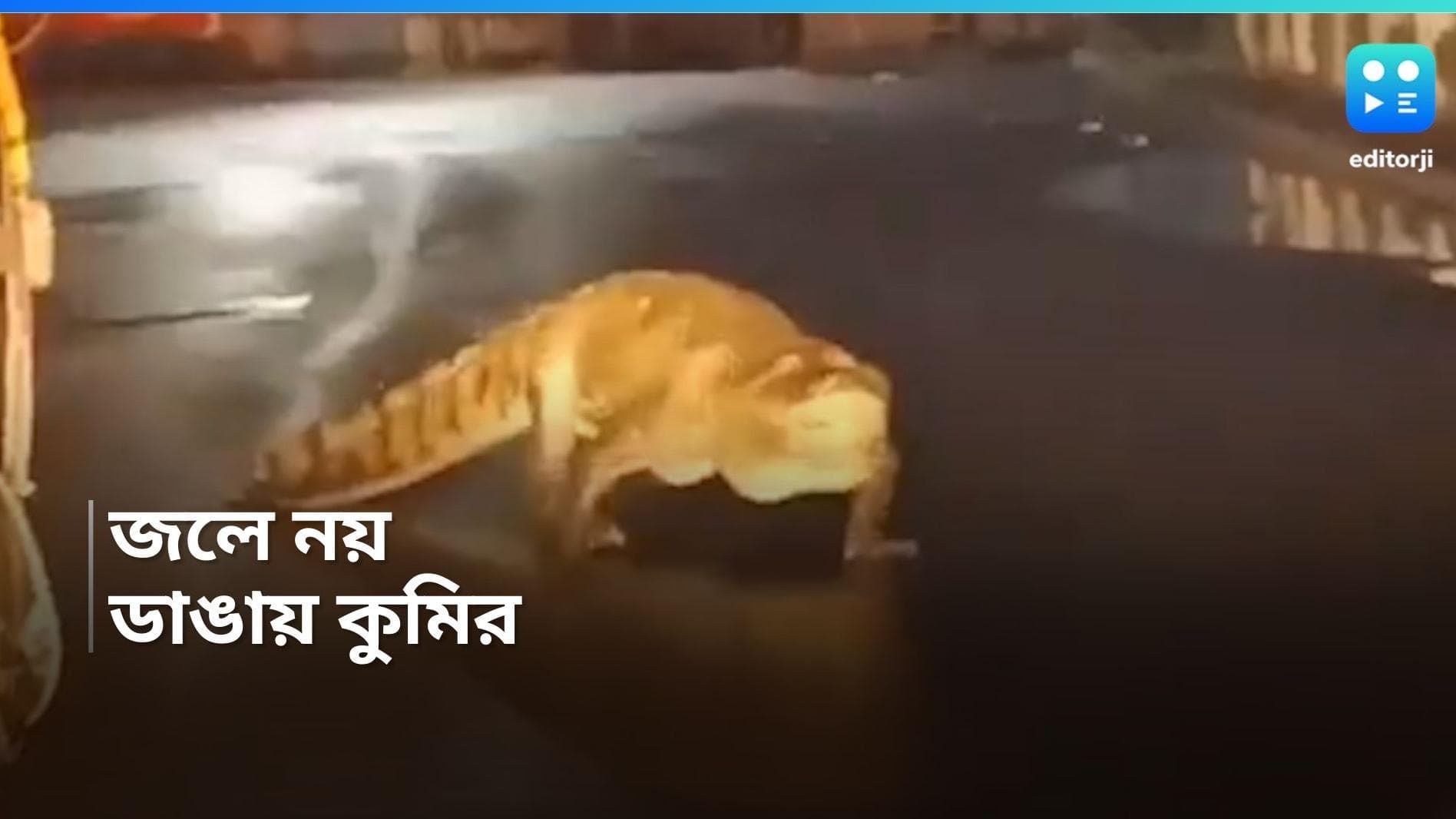 Mumbai News: লাগাতার বৃষ্টি, জল থইথই মহারাষ্ট্রর রাস্তায় হেঁটে বেড়াচ্ছে বিরাট কুমির, ভিডিয়ো ভাইরাল 