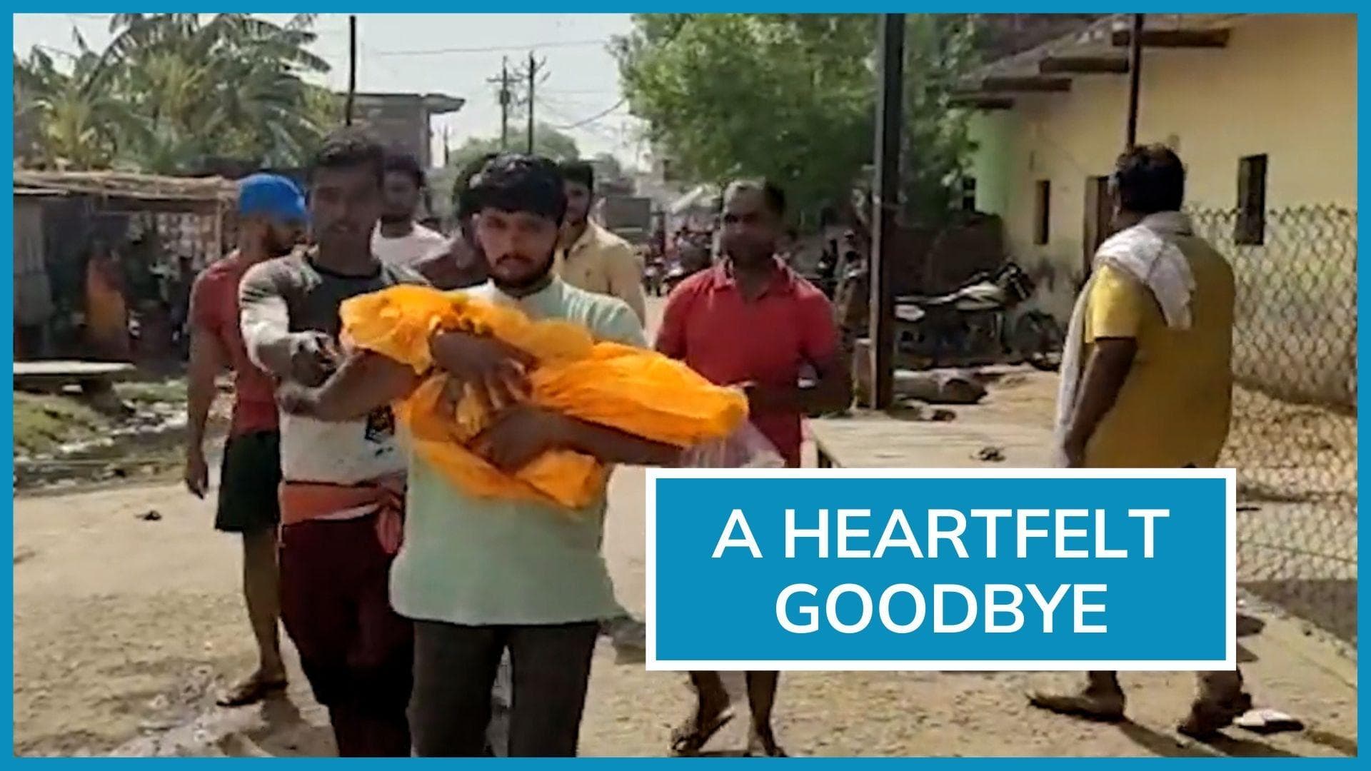 Monkey dies of electrocution, locals hold funeral | On Camera