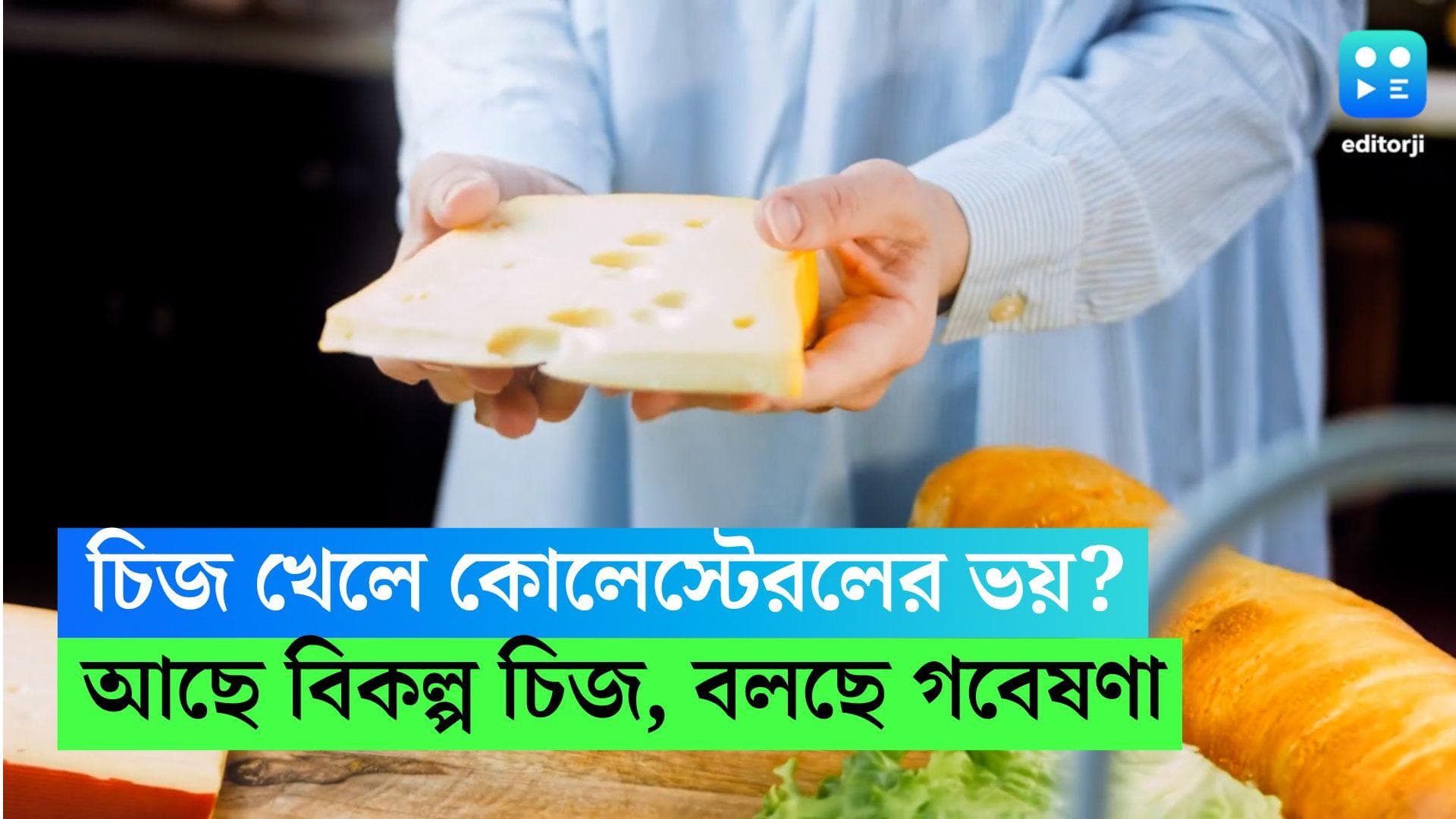 Healthy Cheese: আপনি চিজ লাভার অথচ কোলেস্টেরলের ভয়? গবেষণায় মিলেছে বিকল্প চিজের নজির