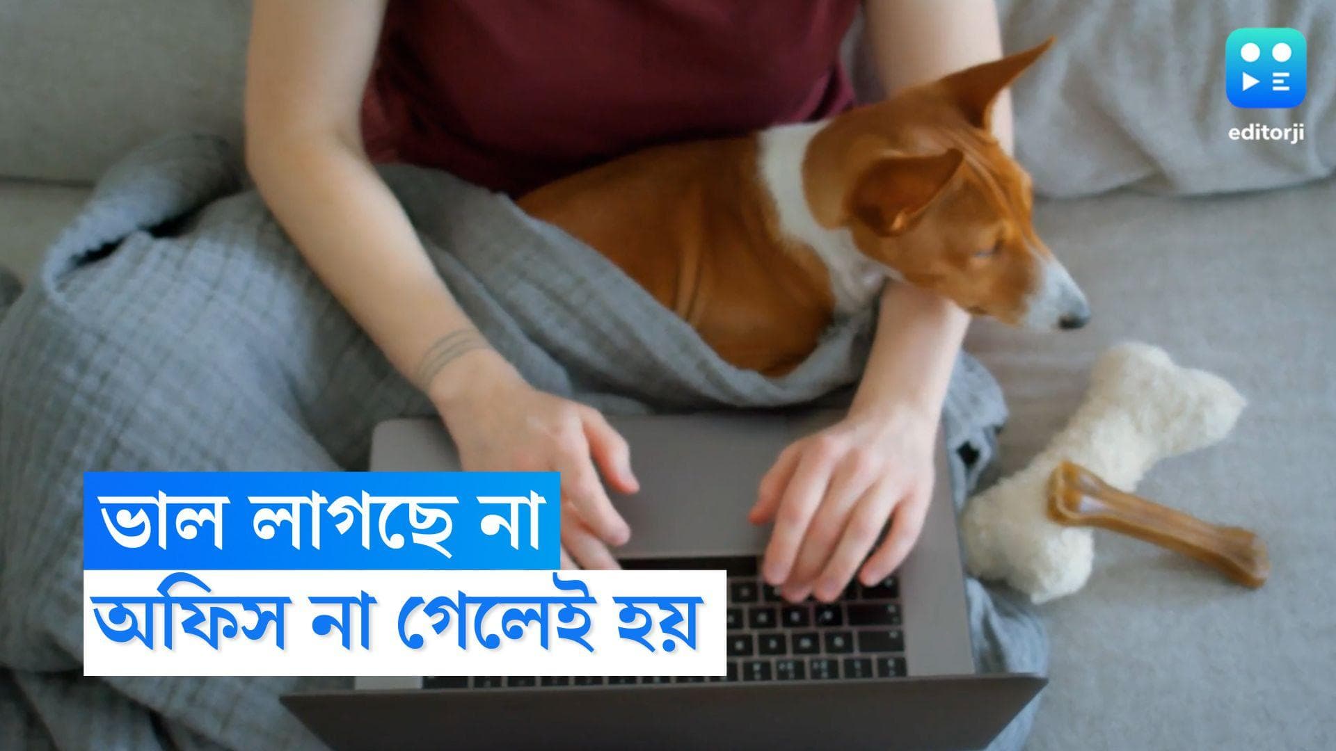 leave excuses: অফিস না যাওয়ার ছুতো খুঁজছেন কর্মীরা, দেদার সার্চ হচ্ছে গুগলে