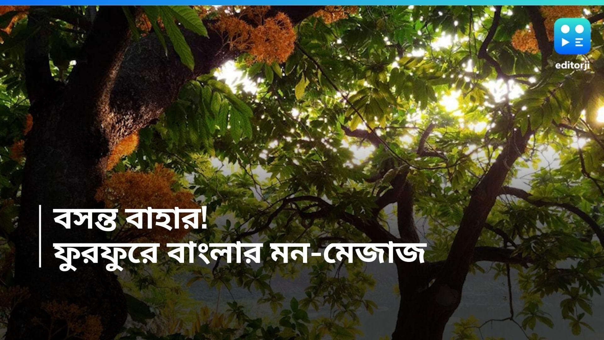 West Bengal Weather Update: সকালে ফুরফরে, বেলায় সামান্য গরম- জমিয়ে ব্যাট করছে বসন্ত