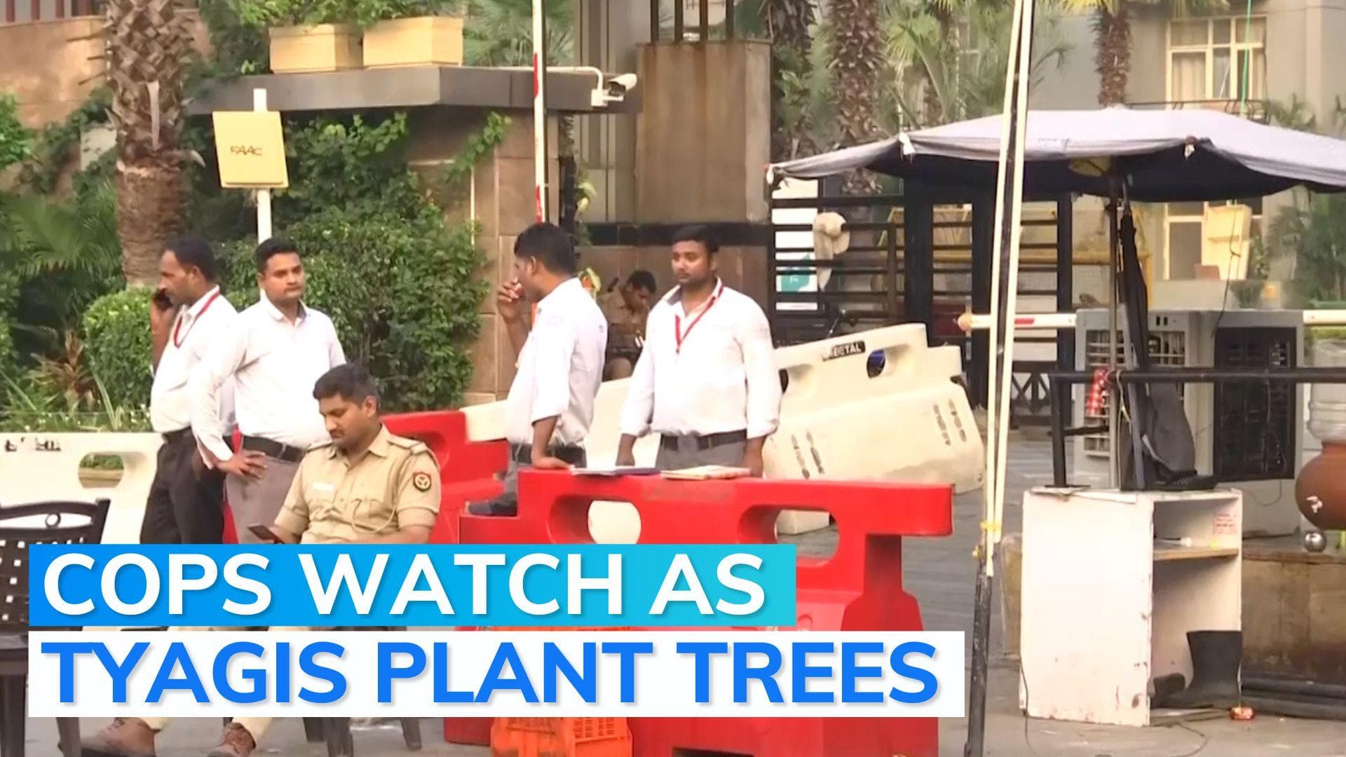 Shrikant Tyagi case: Palm trees again planted by his family in Noida society