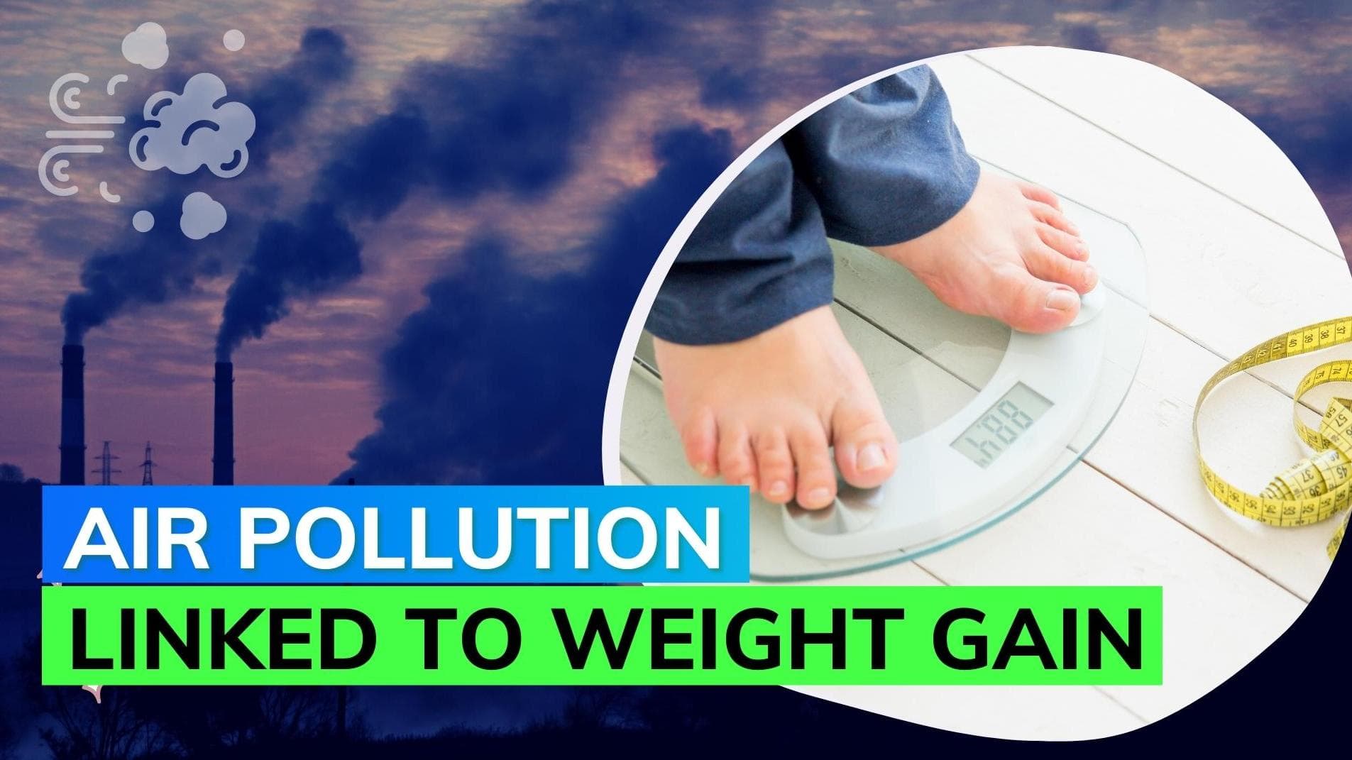 New research suggests air pollution causes weight gain in women