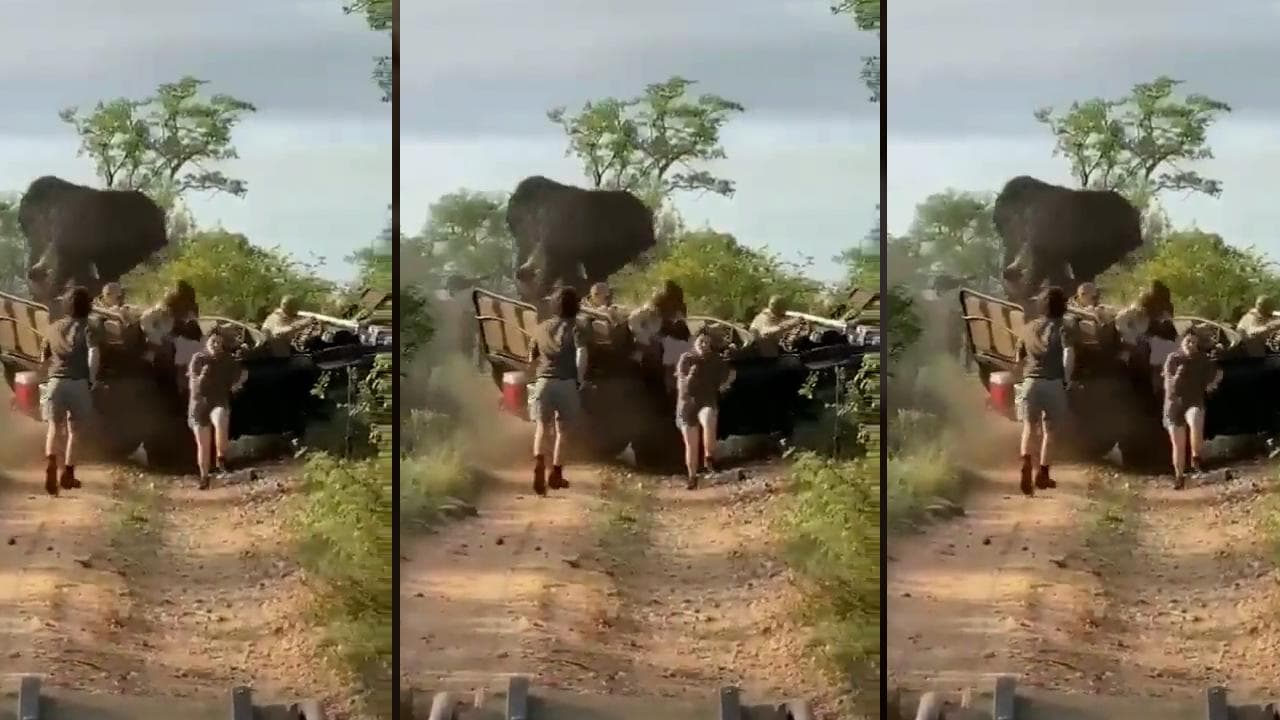 Viral News: जंगल में टूरिस्टों को देख भड़क गए हाथी, फिर किया ऐसा जिसे देखकर उड़ जाएंगे होश