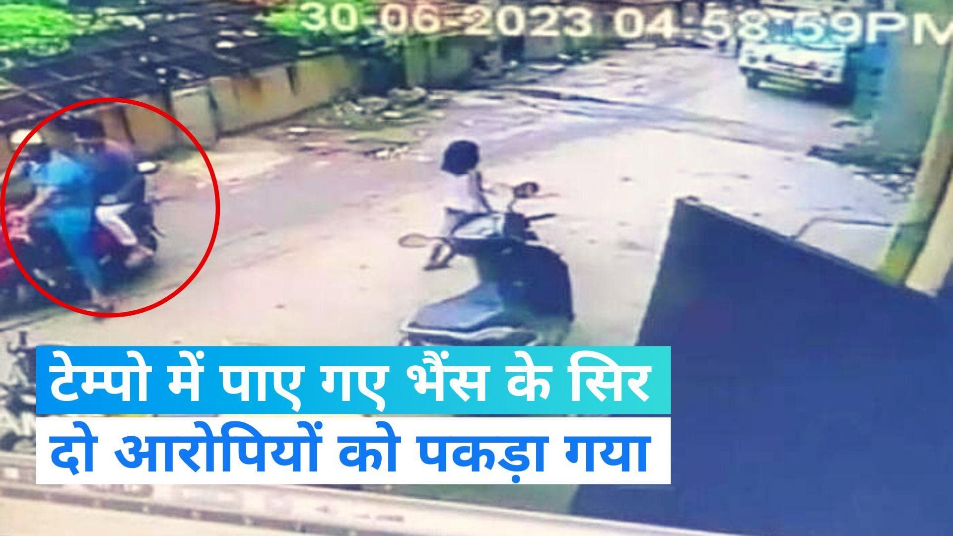 Delhi Crime: दिल्ली के गाजीपुर इलाके में पाए गए भैंस के सिर, एक किशोर समेत दो आरोपियों को पकड़ा गया