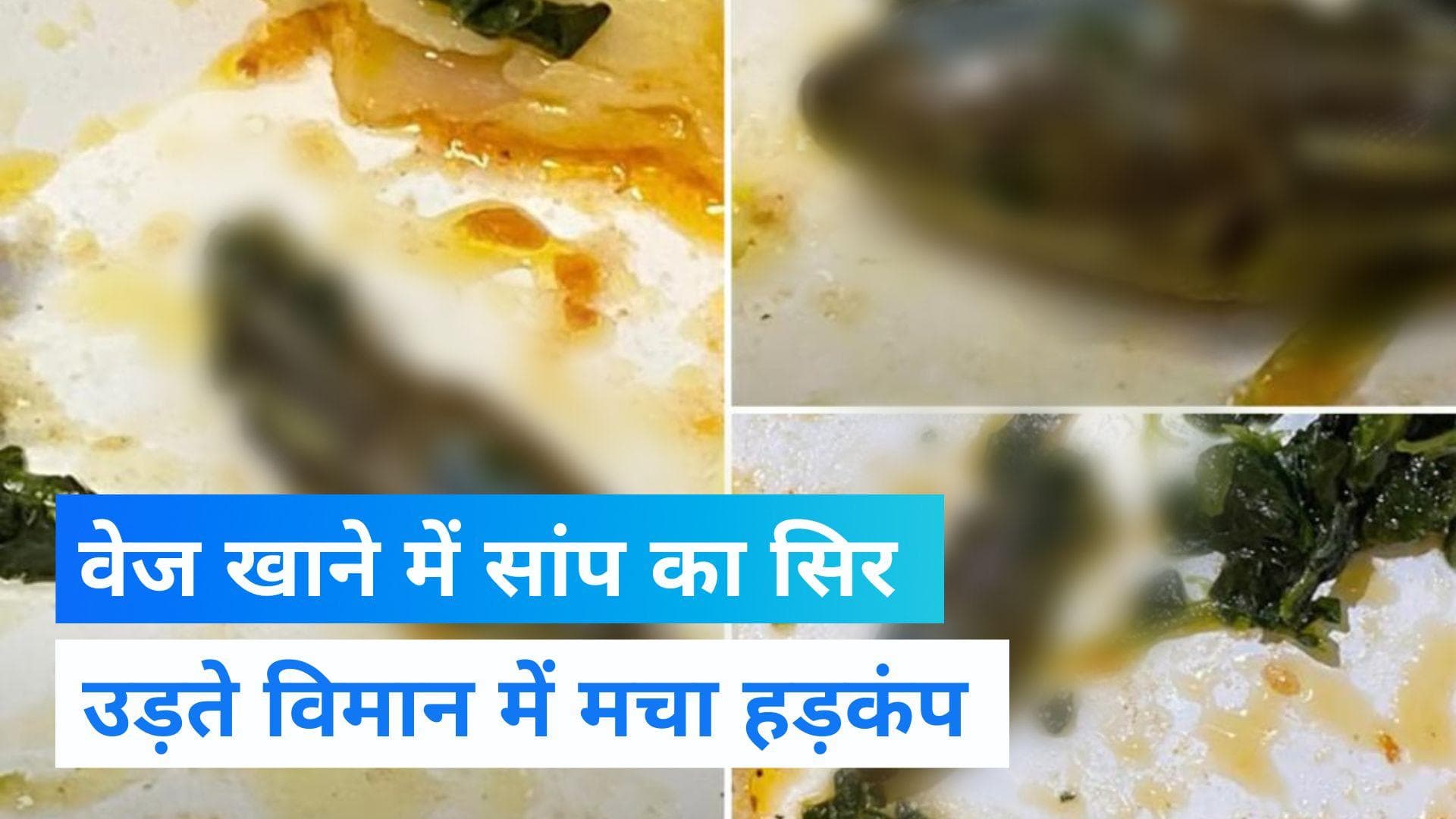 Viral Video: सांप का कटा सिर Flight के खाने में मिला, जानें किस प्लेन में हुआ ऐसा