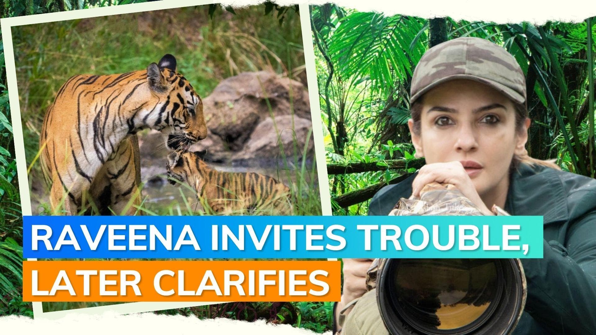 Probe launched after Raveena Tandon's safari video shows her too close to a tiger, actor responds