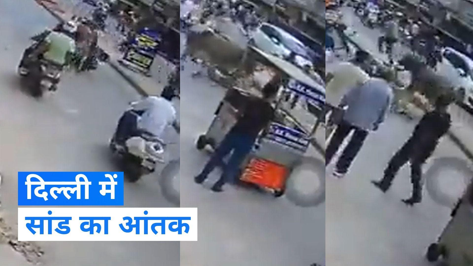 Delhi viral video: बीच सड़क बाइक सवार पर सांड ने कर दिया हमला, देखिए Video...