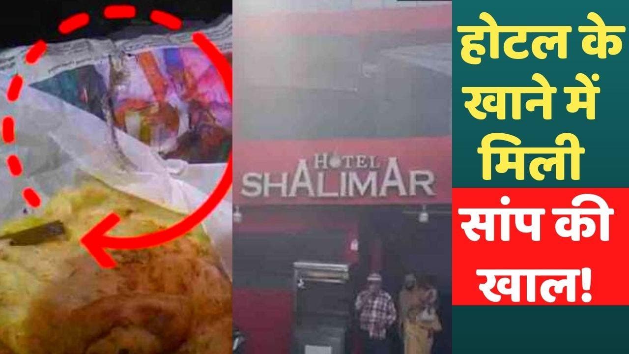 Snake Skin In Food: केरल में होटल से ऑर्डर किया खाना, खोलते ही मिली सांप की खाल