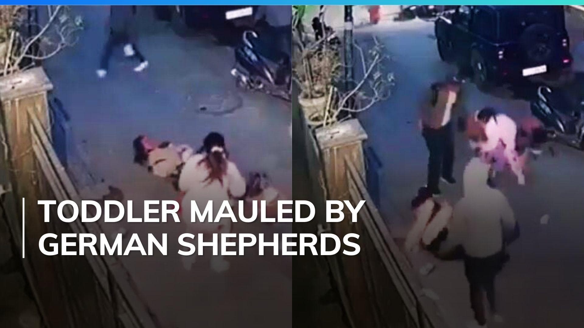 German Shepherds attack two-year-old boy in Delhi, case registered against dog owner