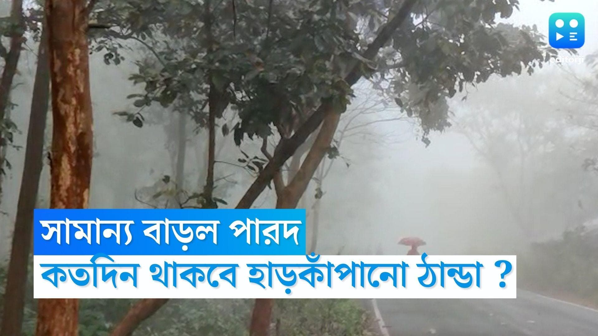 West Bengal Weather Update: সামান্য বাড়ল পারদ,কনকনে শীতের দাপট অব্যাহত, কতদিন থাকবে হাড়কাঁপানো ঠান্ডা ?