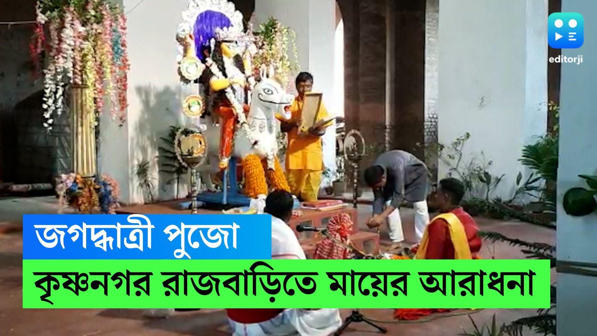 Jagadhatri Puja 2022 : সিংহের মুখ ঘোড়ার আদলে তৈরি,ঐতিহ্য মেনেই জগদ্ধাত্রী পুজো চলছে কৃষ্ণনগর রাজবাড়িতে 