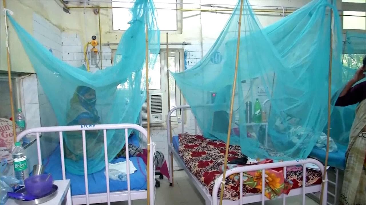 Hospitals may use beds reserved for Covid cases for dengue patients: Delhi govt