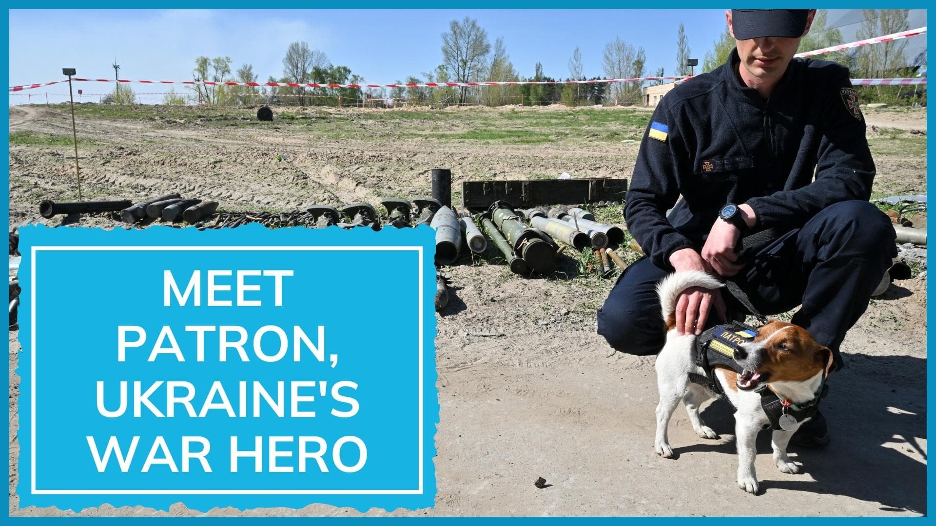 Ukraine awards dog credited with detecting 200 Russian explosives