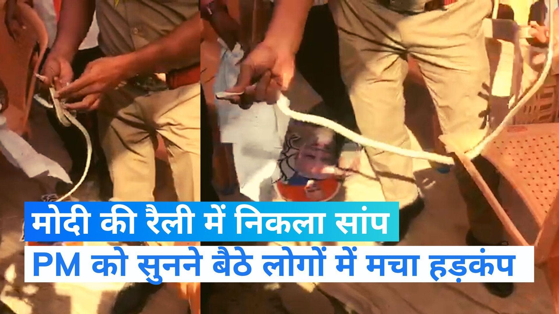 Gujarat Election: मोदी जहां कर रहे थे रैली, वहां निकला सांप, लोगों में मची अफरातफरी 