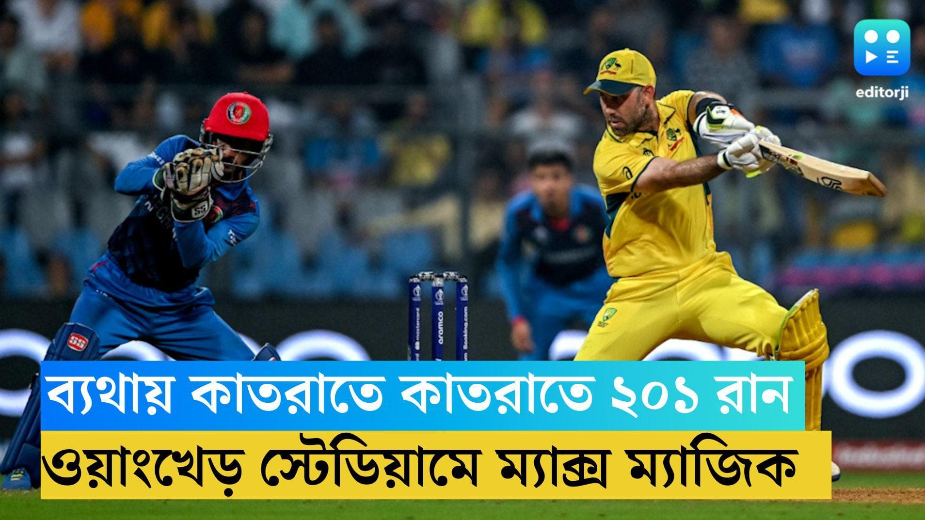 ODI Cricket World 2023: শরীর জুড়ে যন্ত্রণা, একপায়ে অপরাজিত ২০১ রানের রূপকথায়  মুম্বই মাতালেন ম্যাক্সওয়েল