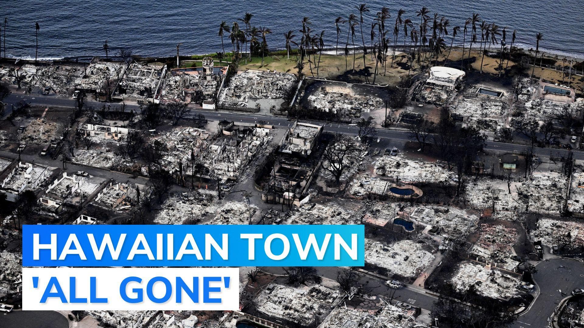 Wildfires turn Hawaii into tinderbox, over 50 people dead