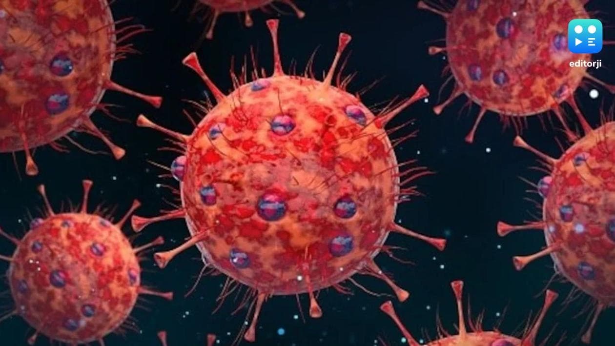 HMPV in India: Two more suspected cases in Nagpur, Maharashtra