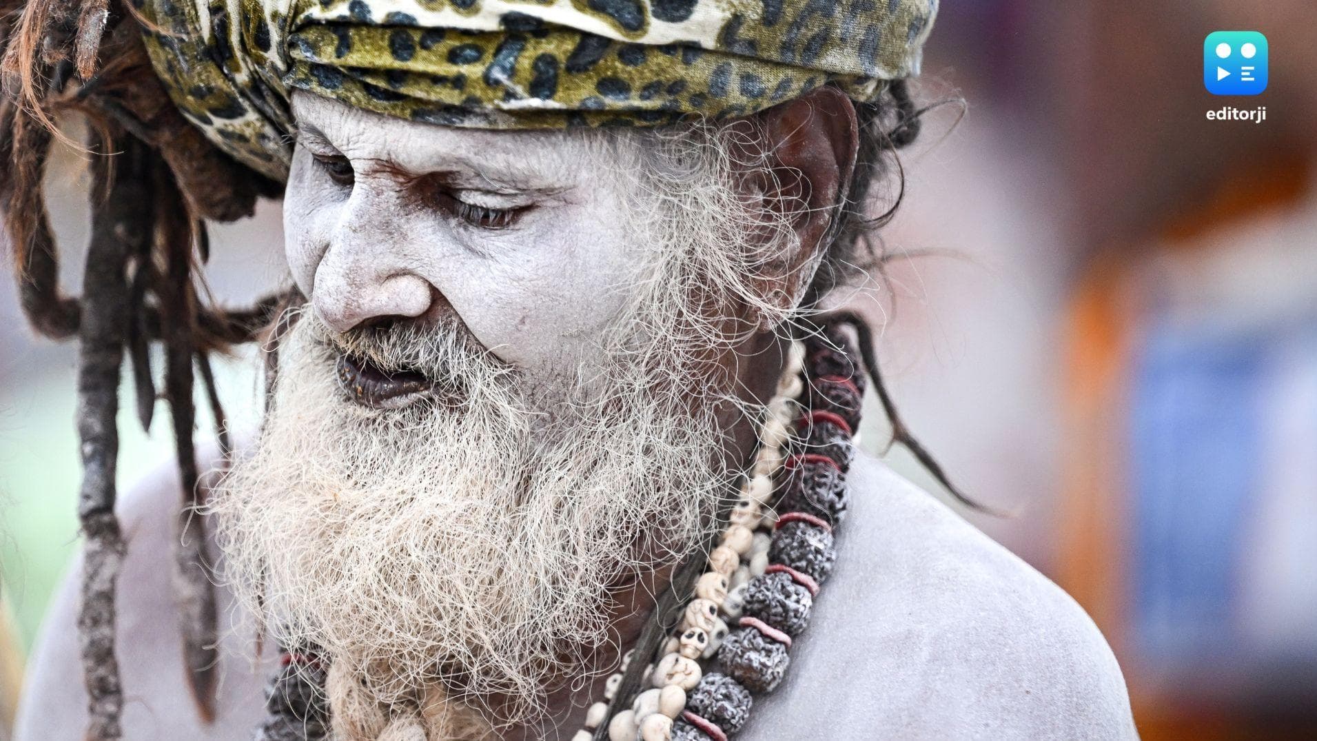 Maha Kumbh: Over 15 cr devotees take dip; another 10 cr expected on Mauni Amavasya