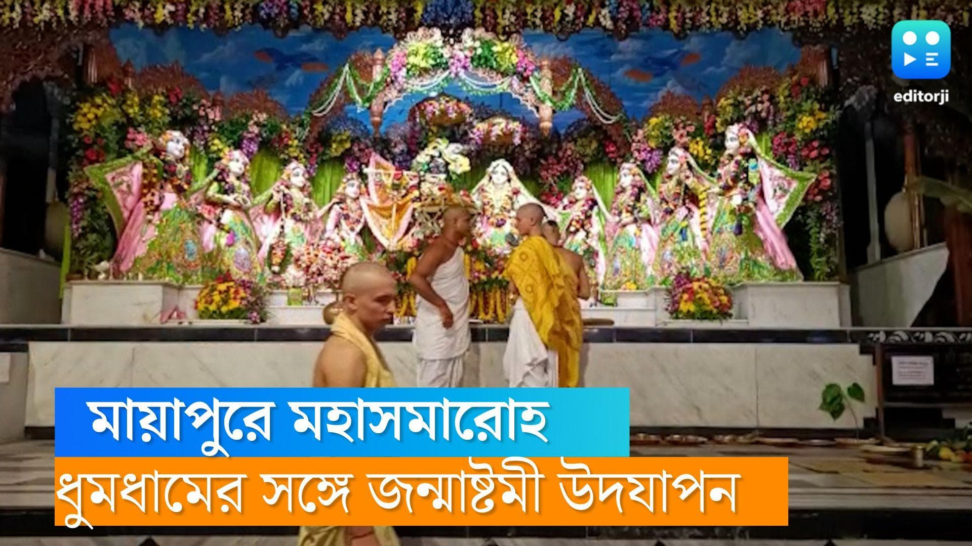 Janmashtami at ISKCON, Mayapur: মায়াপুরের ইস্কন মন্দিরে মহাসমারোহ, জমে উঠেছে জন্মাষ্টমীর উৎসব