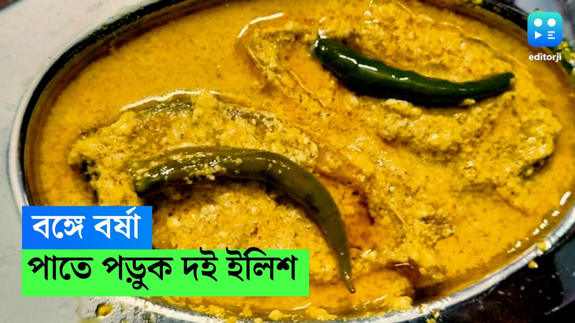 Doi Ilish Recipe: বঙ্গে বর্ষা, পাতে ইলিশ না পড়লে চলে? ভাপা বা ঝোল নয় বানান দই ইলিশ, রইল রেসিপি