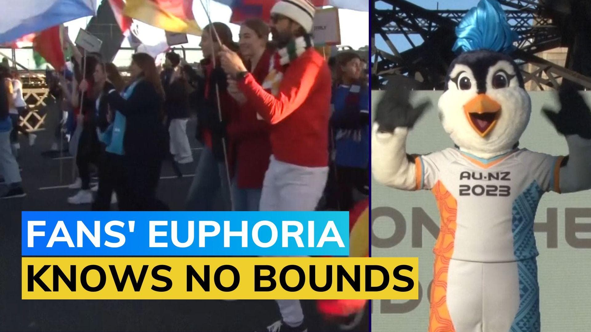 Watch! Football fans march across Sydney Harbour Bridge to mark 25 day to FIFA Women’s World Cup