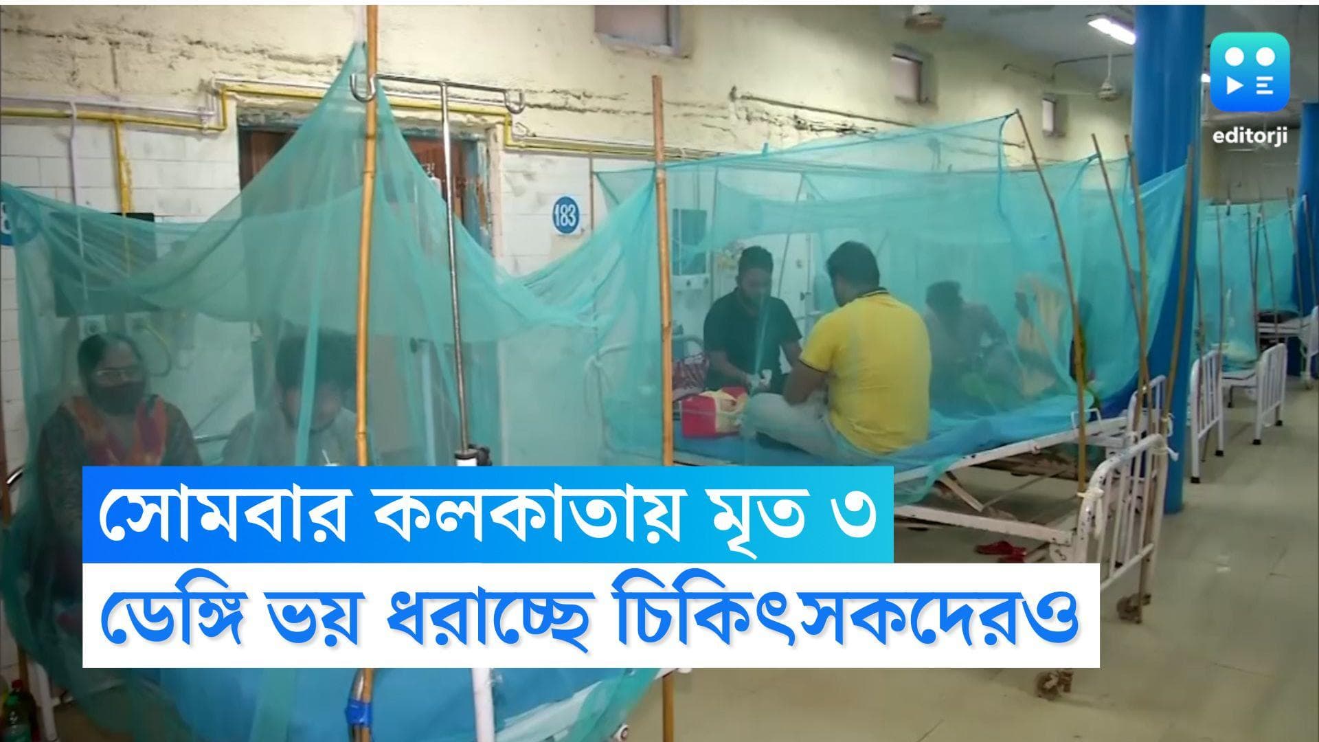 Dengue Death in Kolkata: একদিনে ফের কলকাতায় মৃত ৩, পরিস্থিতি কী হাতের বাইরে? চিন্তায় রাজ্যের চিকিৎসক মহল