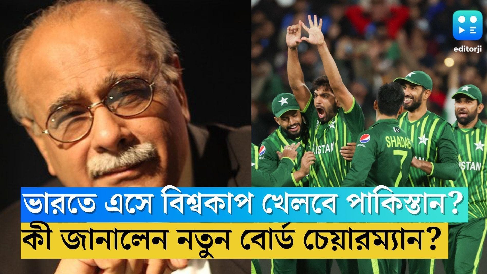 Pakistan Cricket Board: ভারতে এসে বিশ্বকাপ খেলবে পাকিস্তান? কী জানালেন নতুন বোর্ড চেয়ারম্যান?