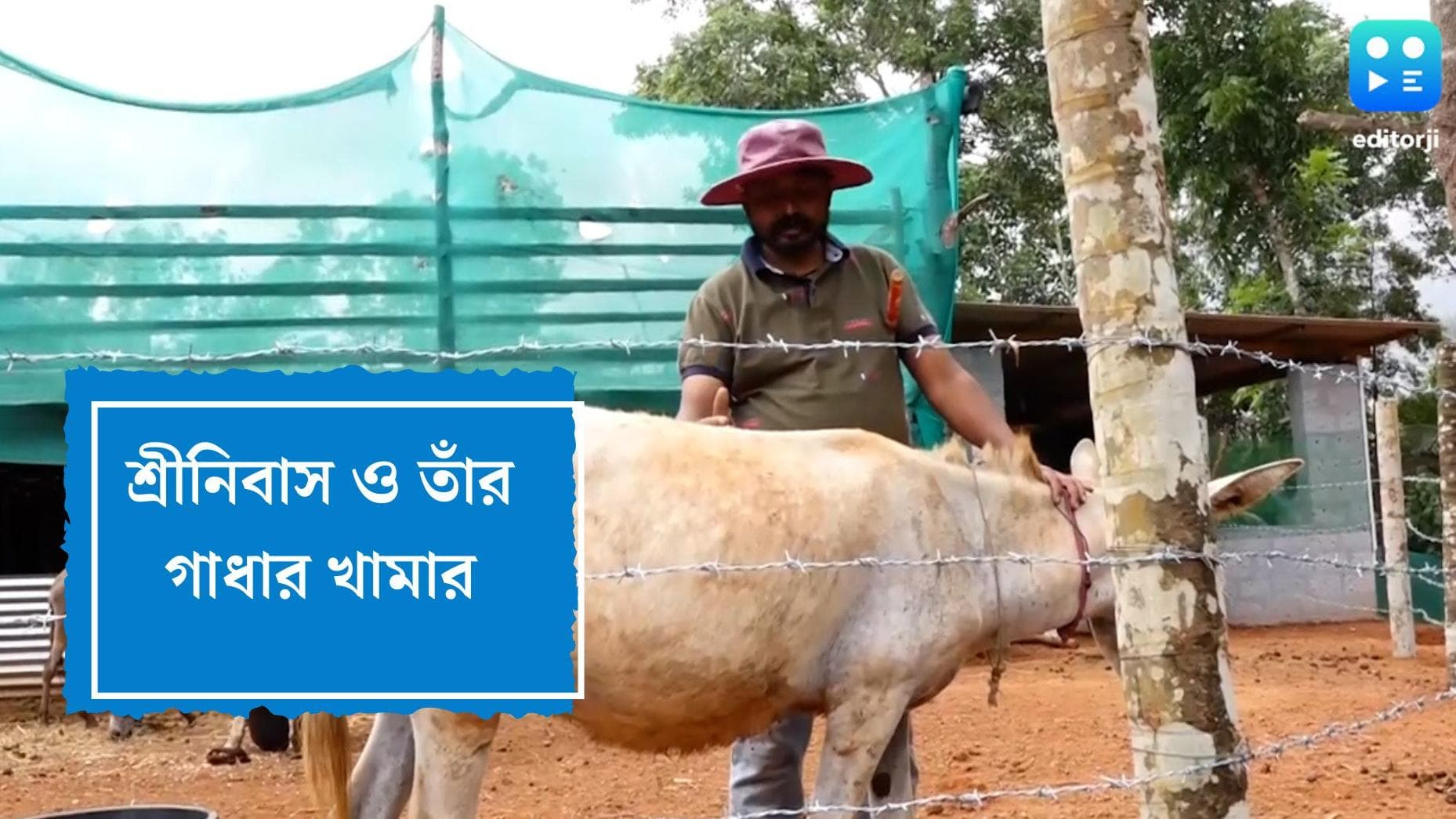 Donkey Farm: সফটওয়্যারের চাকরি ছেড়ে গাধা-খামার খুললেন কর্নাটকের বাসিন্দা, ৩০ এমএল দুধ থেকে ১৫০ টাকা আয়