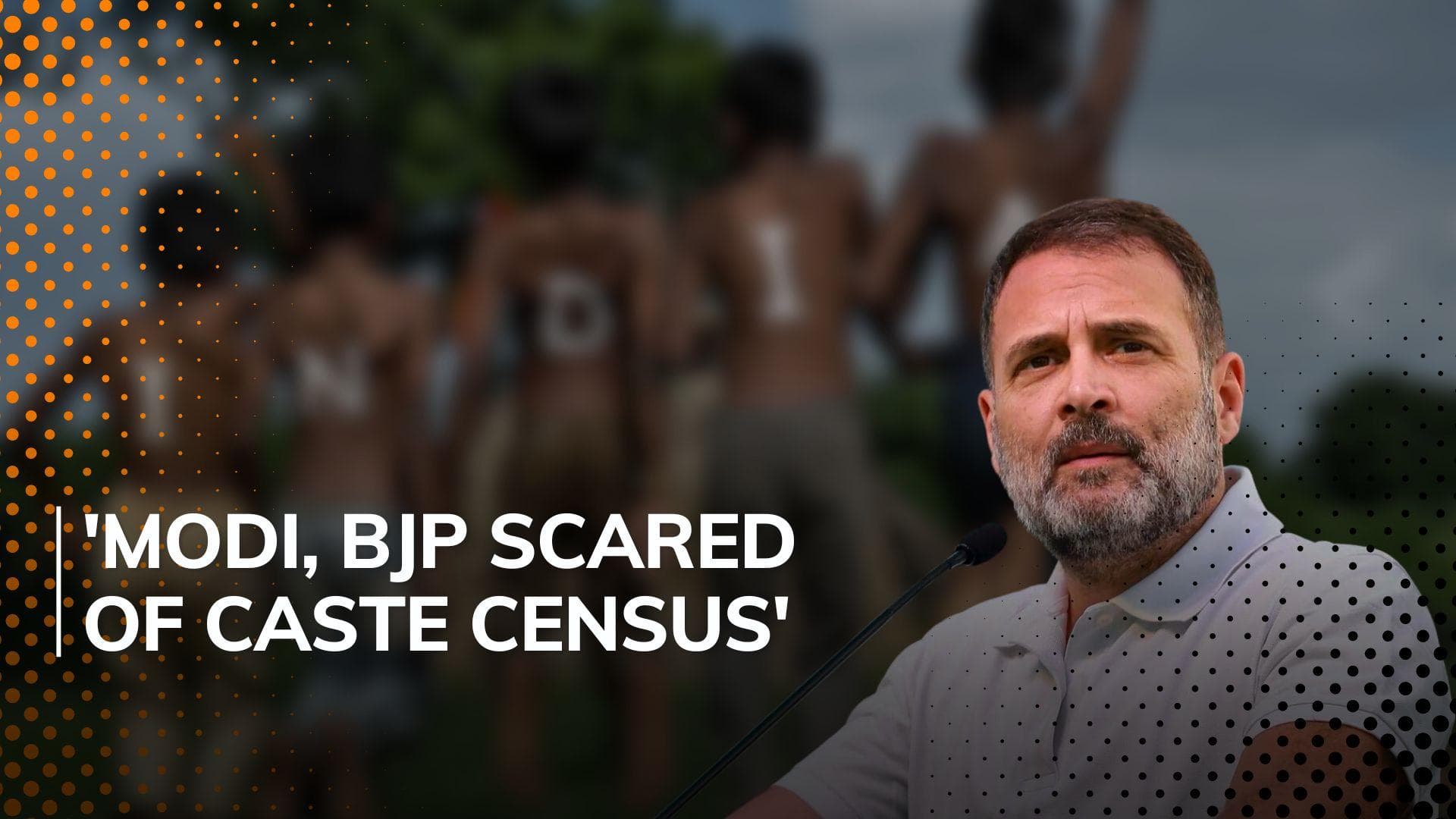 'Caste census my life's goal, not political agenda': Rahul Gandhi 