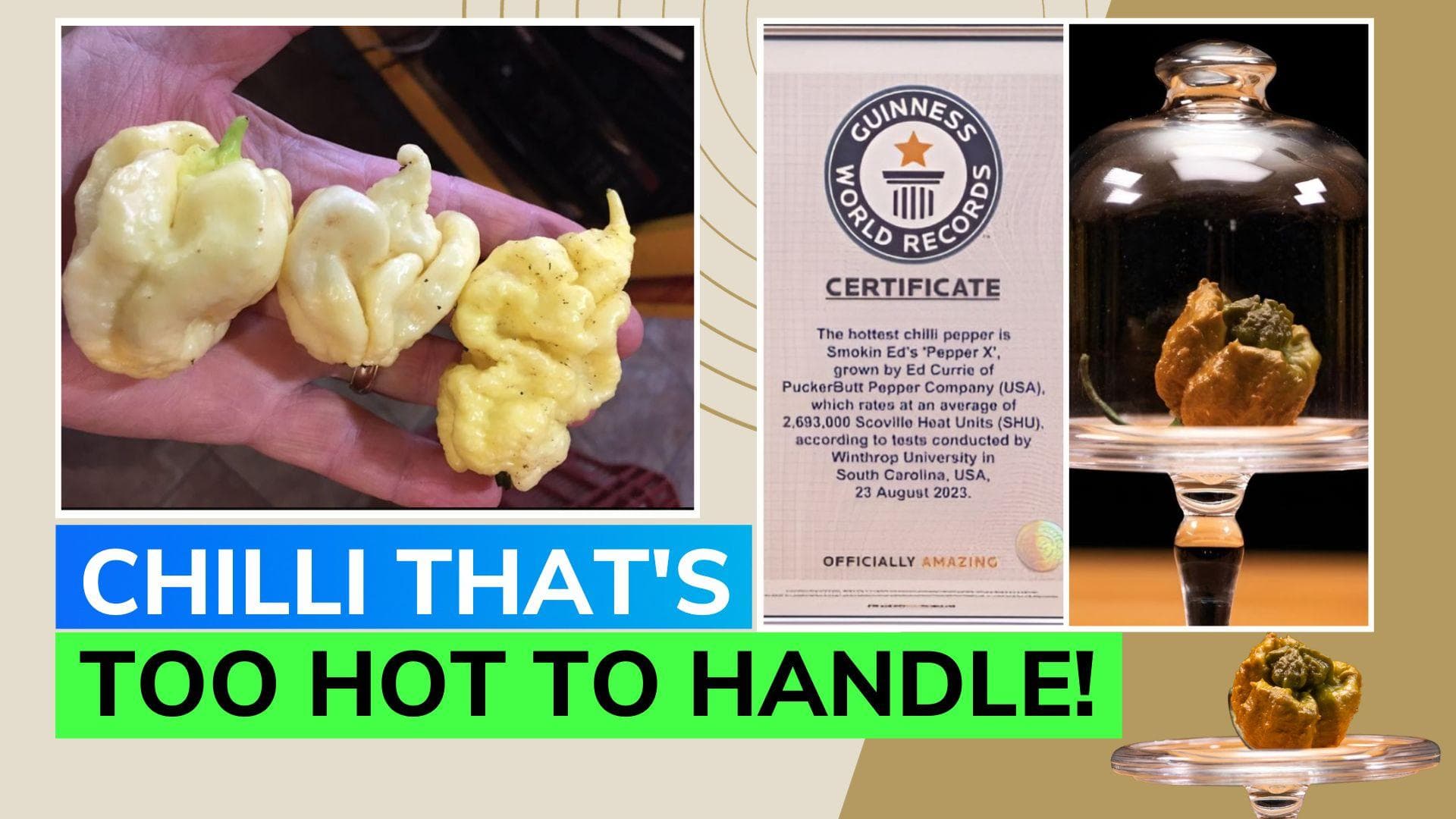 Pepper X takes the crown for world's spiciest chili; sets taste buds ablaze for three hours!