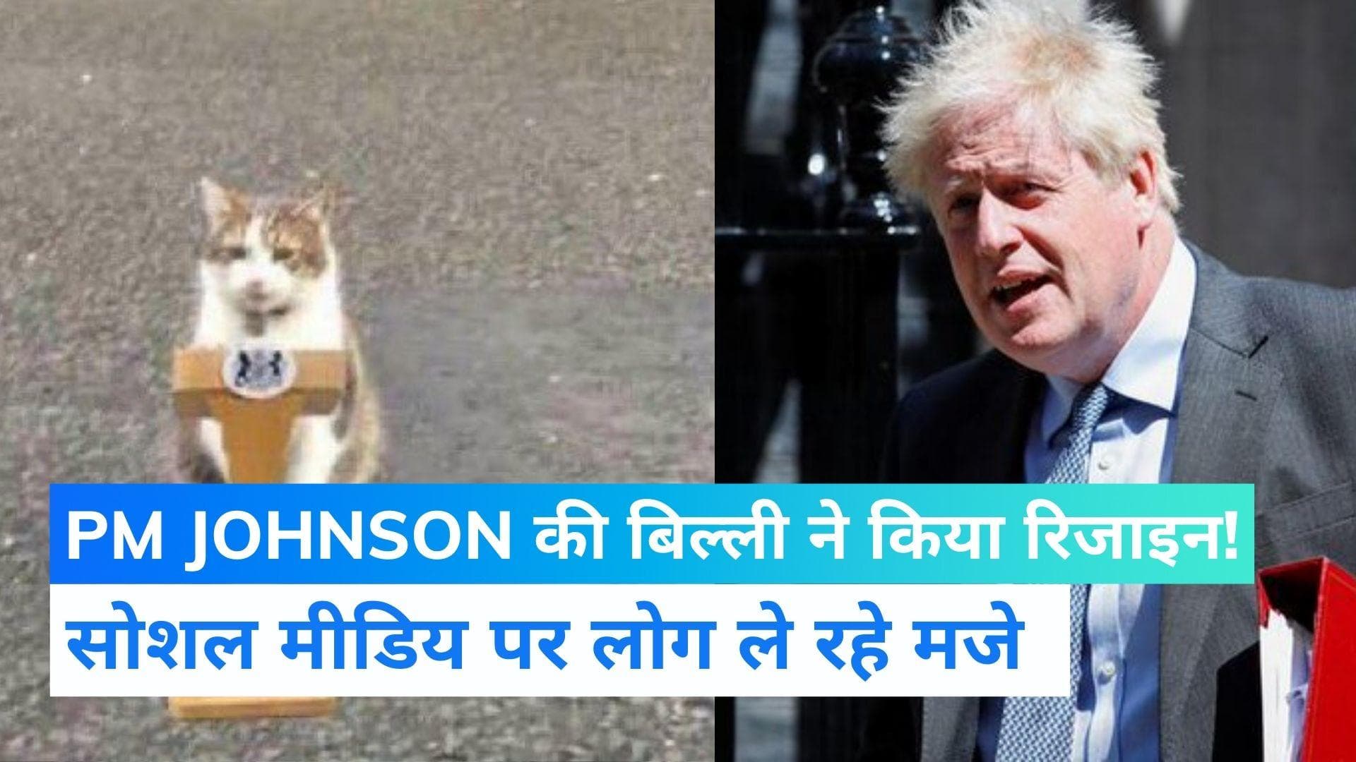 Viral Video: बोरिस जॉनसन की बिल्ली भी मुश्किल में