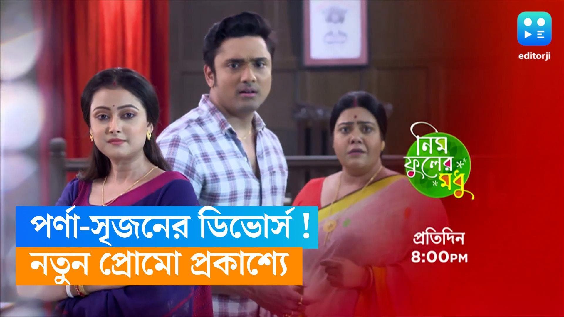 Tele Serial Neem Phuler Madhu : আদালতে পর্ণা-সৃজন, ডিভোর্স হয়ে যাবে দু'জনের ?