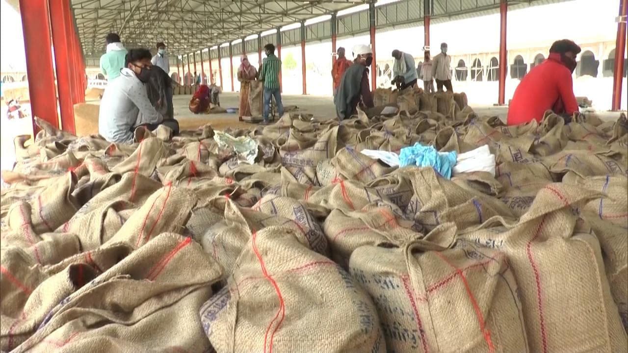 Haryana achieves mustard procurement target for Central government