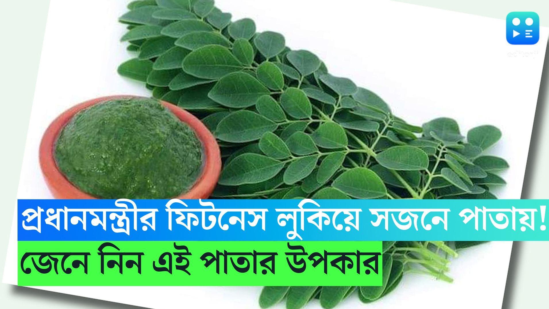Moringa Diet : 'মোরিঙ্গা'-তেই লুকিয়ে মোদীর ফিটনেস রহস্য, সজনে পাতার উপকারীতা কী, কমতে পারে ওজনও, জেনে নিন