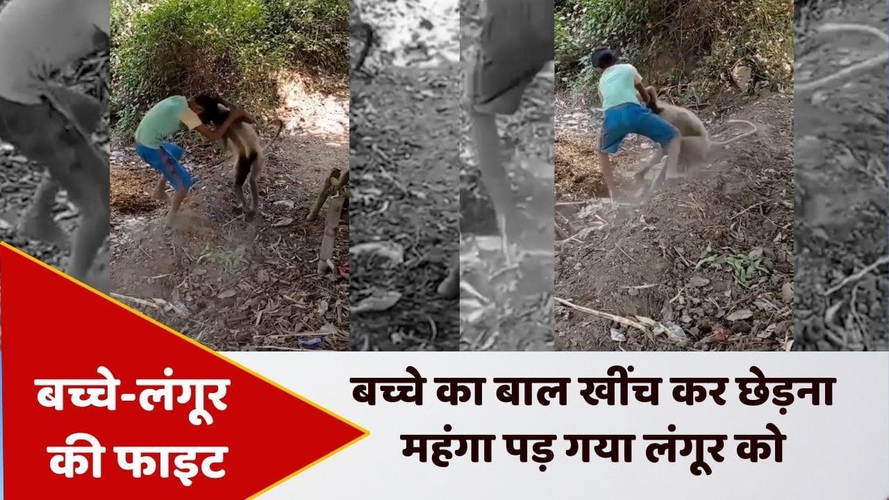 Viral video : बच्चे ने की धुआंधार फाइट...दुम दबाकर भागना पड़ा लंगूर को